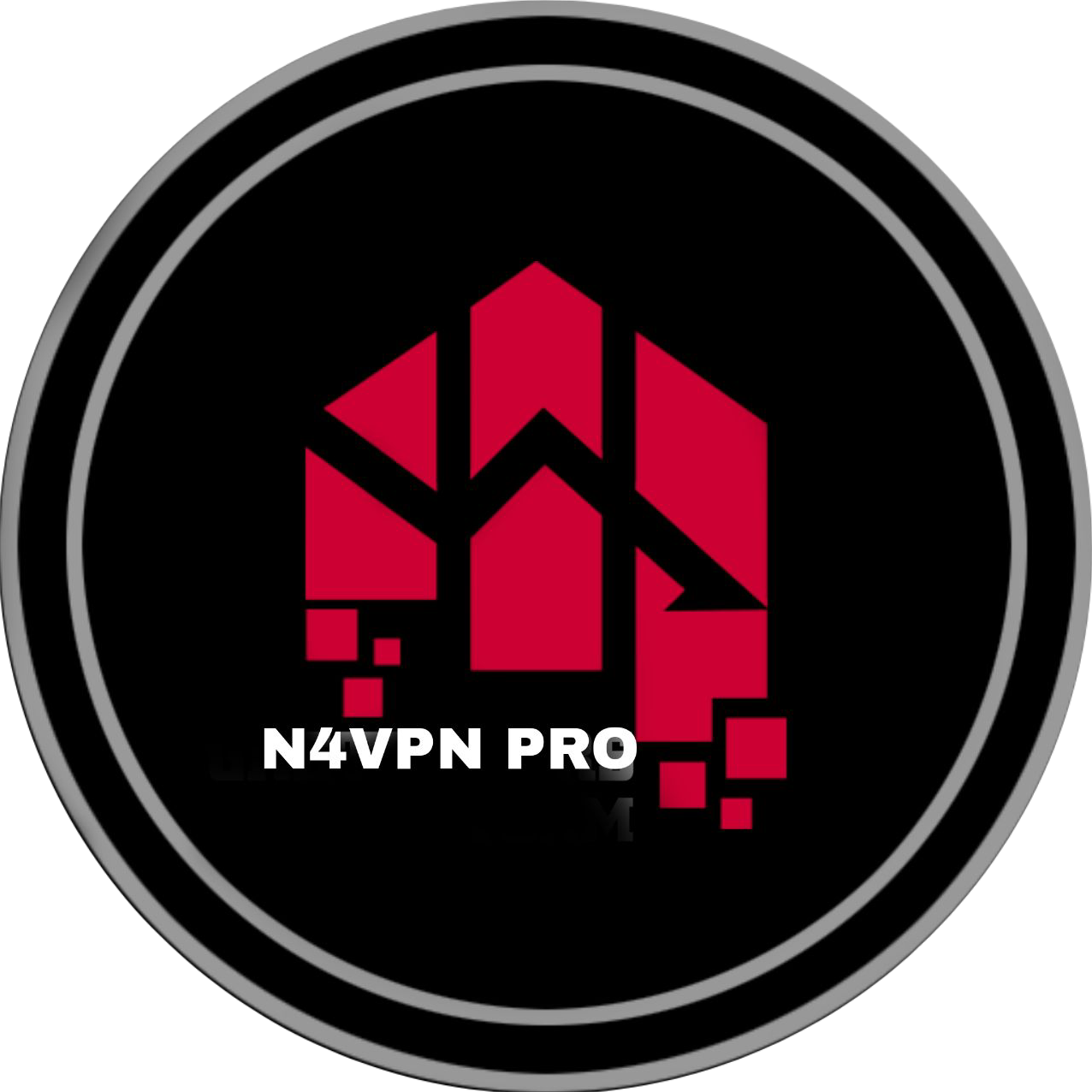 N4 VPN Logo